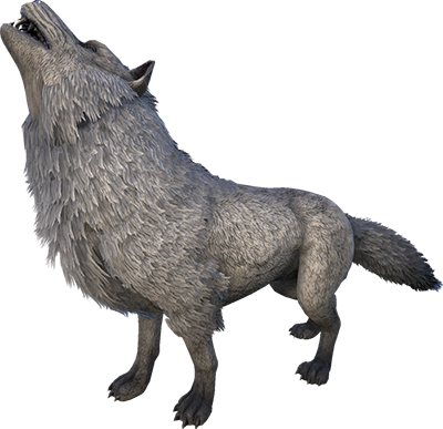 Loup Sinistre Image